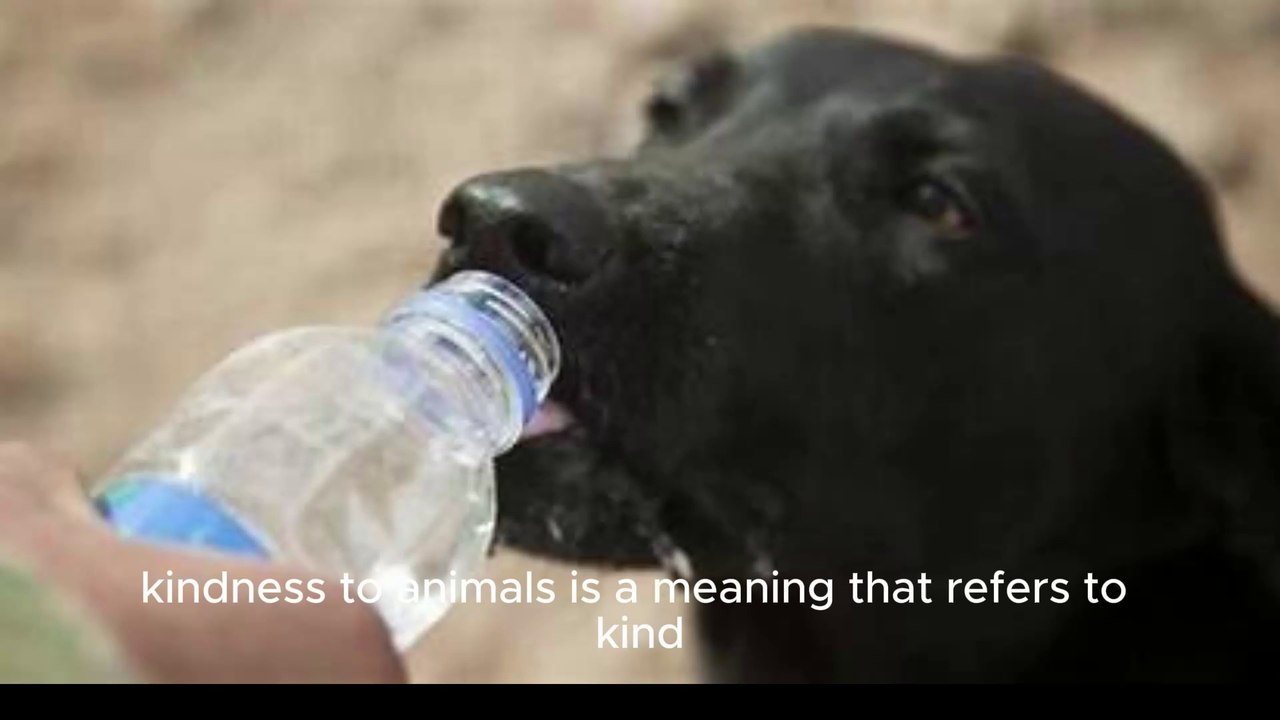 Animal kindness