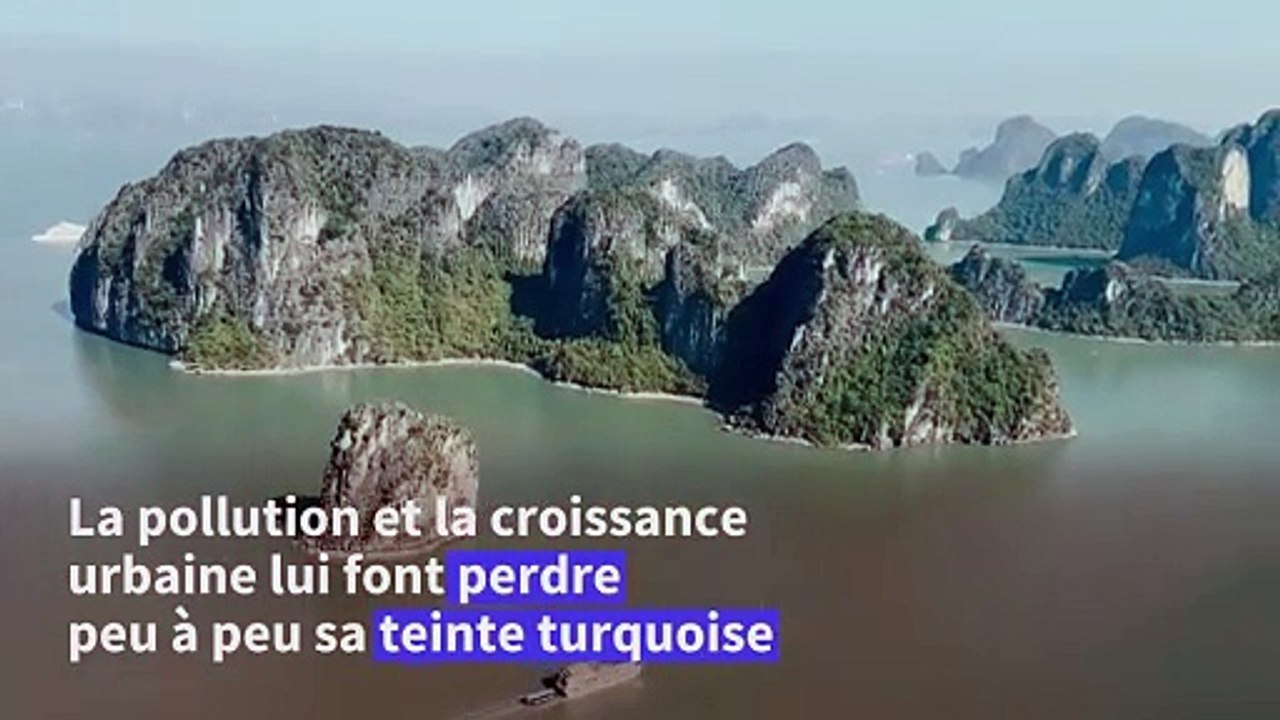 Au Vietnam, la baie d'Ha Long perd de sa splendeur