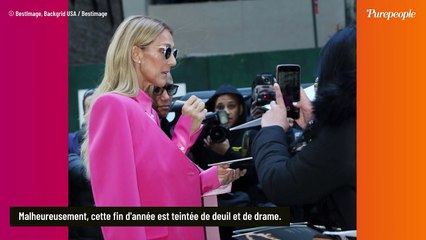 Céline Dion, mort de sa nièce Brigitte dans un terrible accident, sa fille sort du silence : "Ma maman était un peu fatiguée..."