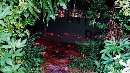 Prosecuting Evil with Kelly Siegler S01E07 The Darkest of Nights