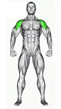 Exercises for Bigger Shoulders #shoulderexercises #fitnessgoals #strengthtraining #shorts #short