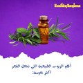 الزيوت الطبيعية لتنعيم الشعر الجاف والتالف