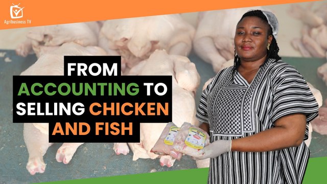 Burkina Faso: From accounting to selling chicken and fish