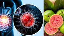 Cancer Patients को Pink Guava क्यों खाना चाहिए | Gulabi Amrood Khane Ke Fayde | Boldsky