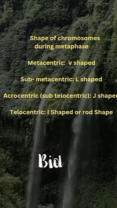 Chromosomes key points