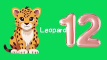 11 to 15 counting for kids cartoon animation and Learning - Shaaani Kids Tv