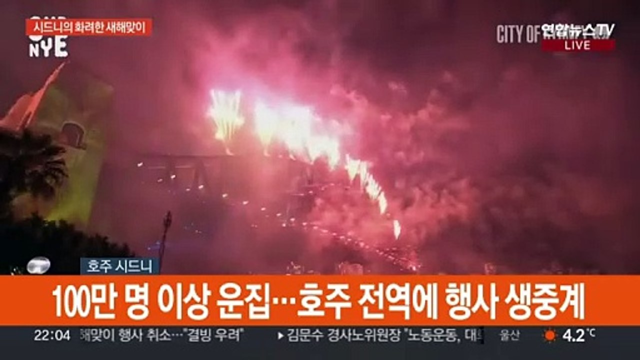 [현장연결] 시드니의 화려한 새해맞이…불꽃에 물든 밤하늘