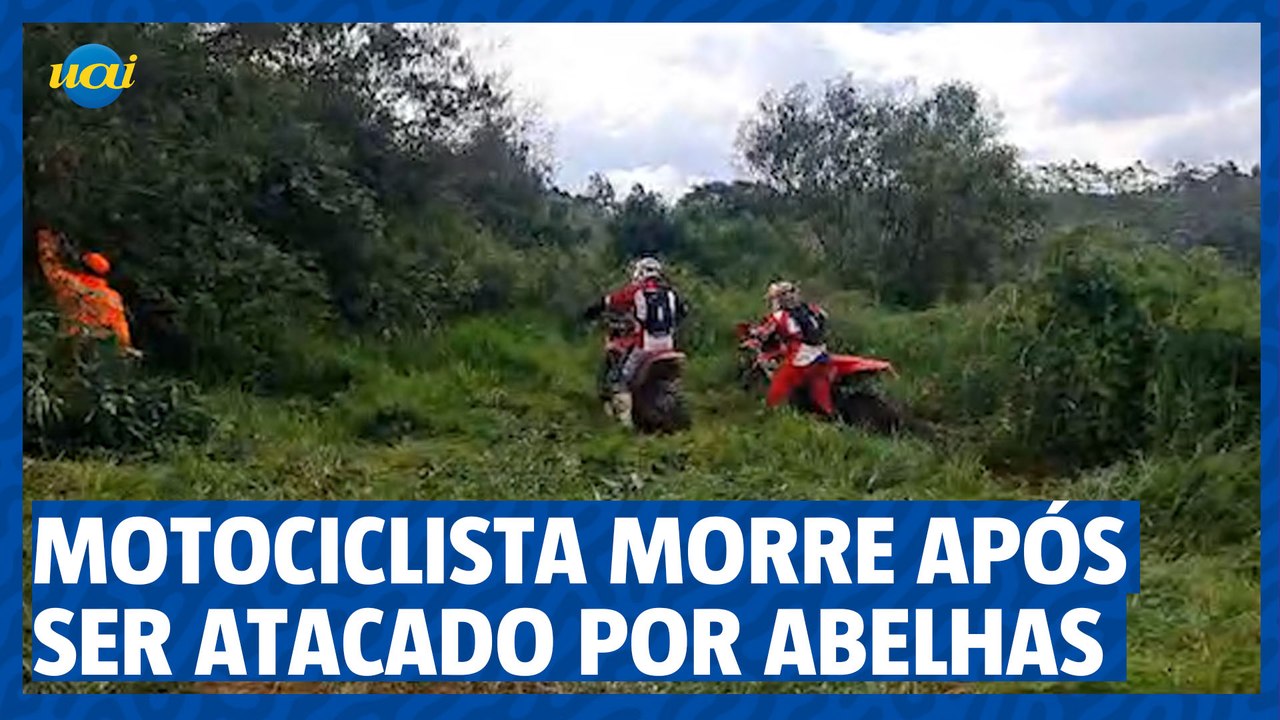 Motociclista morre ao ser atacado por enxame de abelhas no Sul de Minas