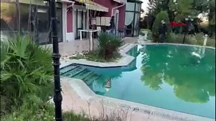 'Fergio' operasyonunda ifadeler ortaya çıktı