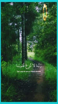 Calming Quran Reciting...! Peaceful Recitation Of Qur'an Récitation Du Coran #family #islamic_video #Tilawat #koran #Tilawah #Quran #voiceofquransoutalquran