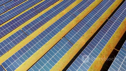 Decoding Policy_ A Comprehensive Guide