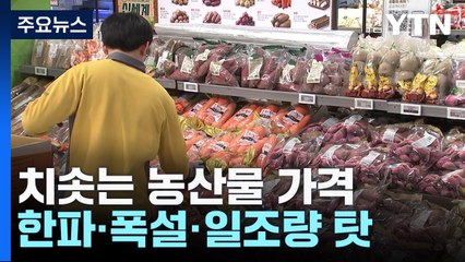 "장 보기 겁나요"...치솟기만 하는 농산물가격 / YTN