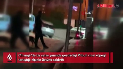 Cihangir’de dehşet anları: Tartıştığı kişinin üzerine Pitbull köpeğini saldı!