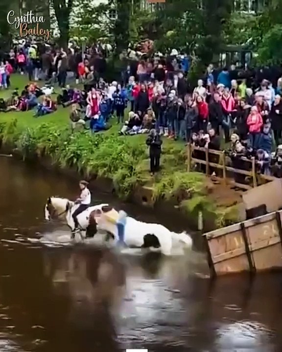 Equine Blunders