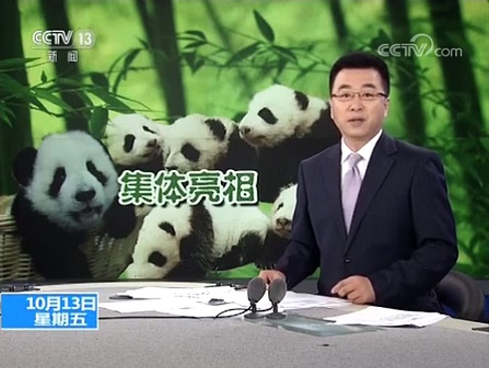 2017 giant panda cub
