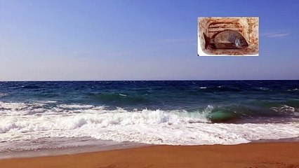 مقدمة يوتيوب بني ورق أشخاص ومدونات