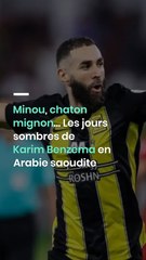 Minou, chaton mignon… Les jours sombres de Karim Benzema en Arabie saoudite