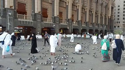 حمام الحرم المكي _ Makkah live Mecca
