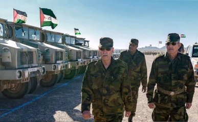 خطة مغربية جهنمية للقضاء على البوليساريو