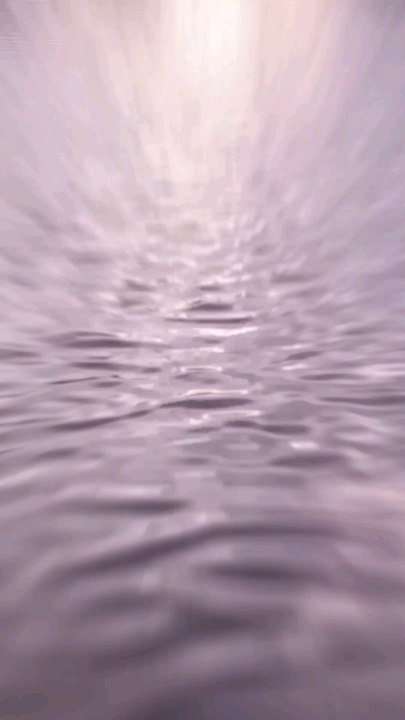 Felíz Año Nuevo Happy New Year Frohes Neues Jahr.2024