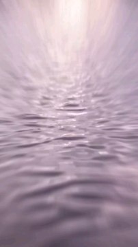 Felíz Año Nuevo Happy New Year Frohes Neues Jahr.2024