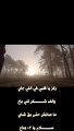 #shorts حمزة نمرة- رياح الحياة5  -  فيديو كليب