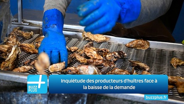 Inquiétude des producteurs d'huîtres face à la baisse de la demande