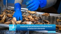 Inquiétude des producteurs d'huîtres face à la baisse de la demande