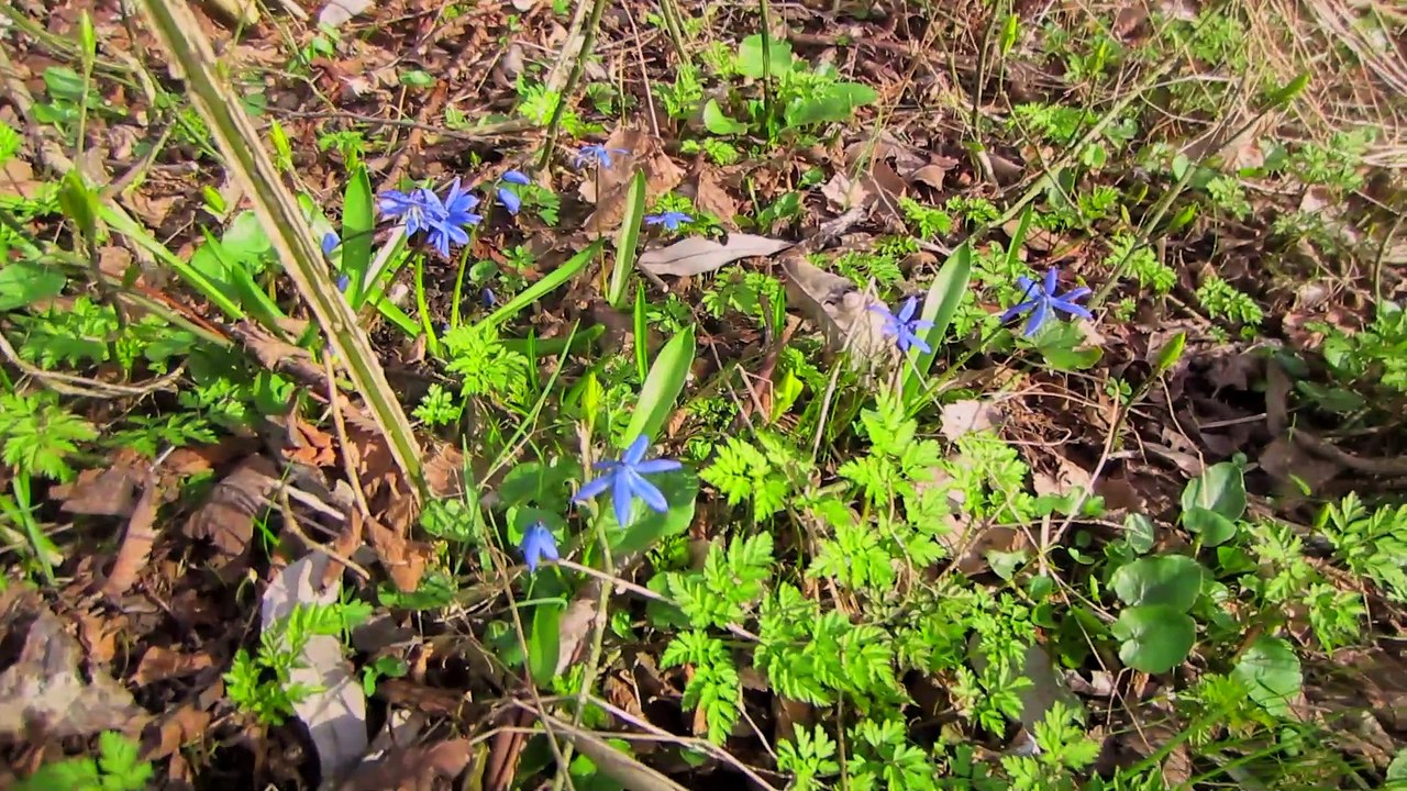 ПОКАТУШКИ 2023