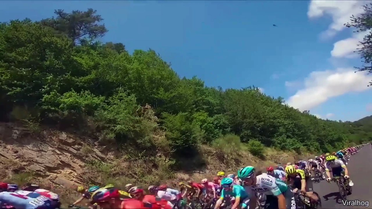 The Best Video 2019