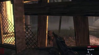 COD: WaW Zombies - Verruckt Starting Room Only Challenge 2nd Attempt (Quick Revive Side)