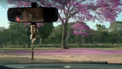 Nós Passarinhos | movie | 2021 | Official Trailer