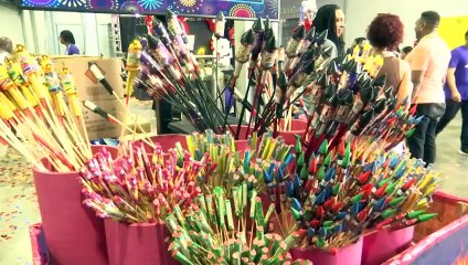 HELPING YOUR FURRY FRIENDS COPE WITH FIREWORKS