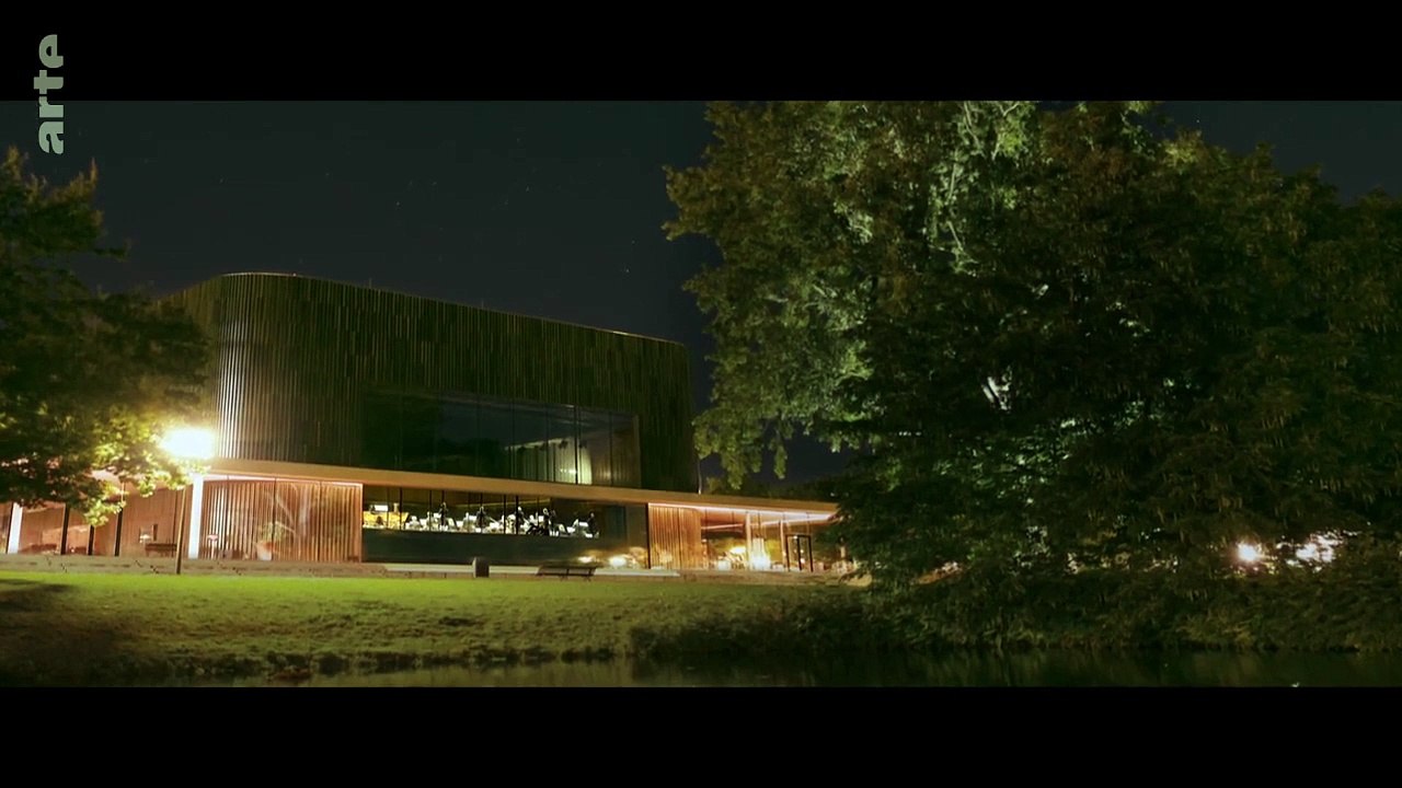 Le Loup, un vagabond sans frontière. ( Documentaire, animaux sauvage, scout).