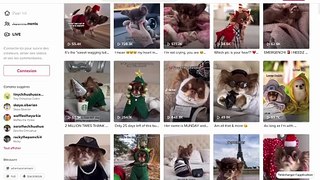 Cette Québécoise aux 2M d’abonnés TikTok confie comment elle gagne sa vie avec son chien