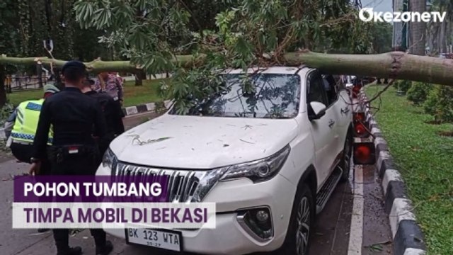 Cuaca Buruk Landa Bekasi, Akibatkan Pohon Besar Tumbang Timpa 1 Unit Mobil
