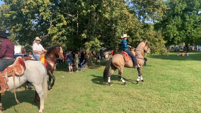 Mexican Dancing Horses Memorial day in Maryland