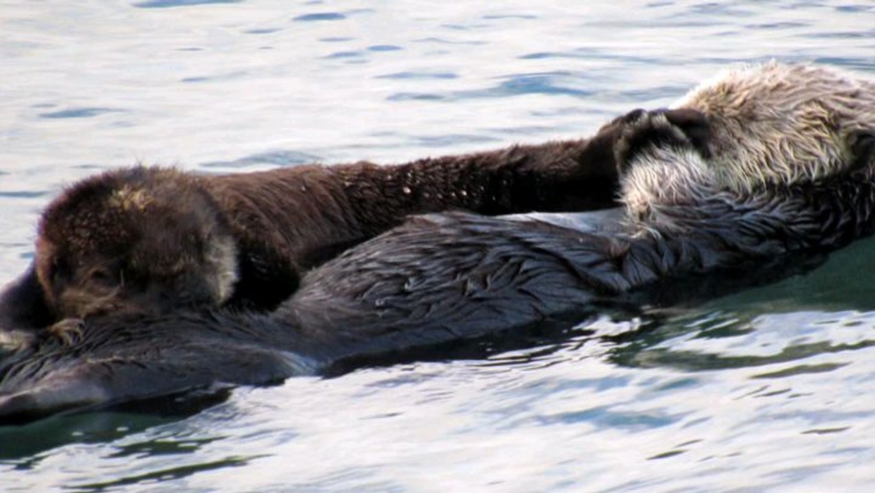 enjoying watching mommy and baby enjoying the simple life
