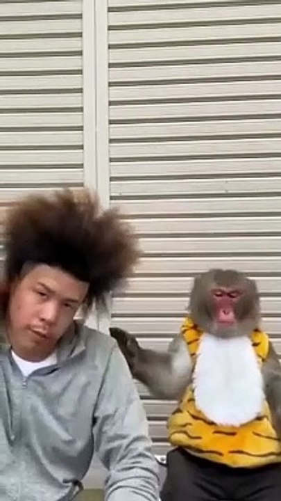So funny monkey 