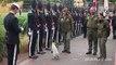 Sir Nils Olav promoted to Brigadier by Norwegian King's Guard