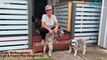 Lost and Found Pets Illawarra | January 1, 2024 | Illawarra Mercury