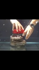 ഒരു ജീവനുള്ള നീരാളിയെ കുപ്പിയിൽ അടച്ചു വെച്ചാൽ എന്ത് സംഭവിക്കും !!!