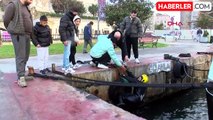 Beşiktaş'ta Denize Düşen Kedi İSAK Ekipleri Tarafından Kurtarıldı