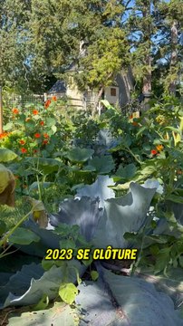 Belle et heureuse année à tous ✨ Je souhaite à chacun d’entre vous que vos plants de bonheur poussent plus vite que les mauvaises herbes et que vos projets soient couronnés de succès !