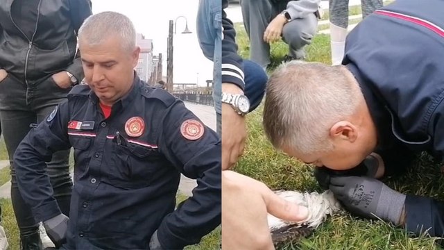 Martıya suni teneffüs... İtfaiye eri kahroldu