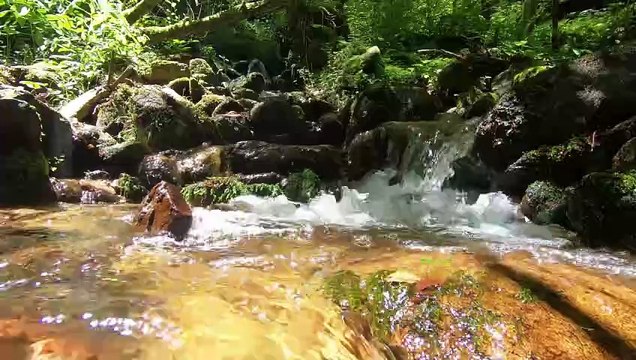 Bien-être Eau Mini Chute - Relaxation Détente