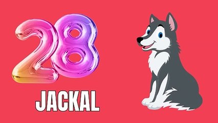 26 to 30 counting for kids cartoon animation and Learning _ Shaaani Kids Tv