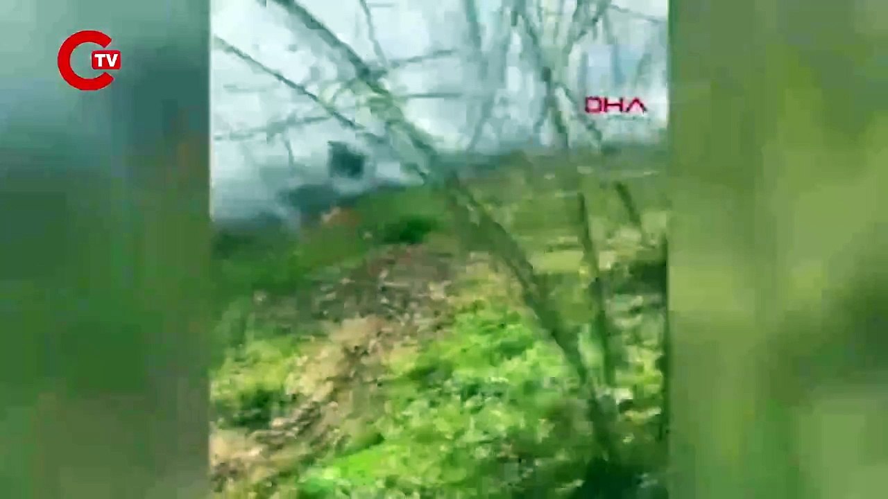 Sakarya'da ormanda yangını!