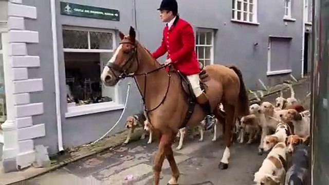 The Monmouthshire Hunt head off from the castle grounds at their Monmouth New Year Day meet