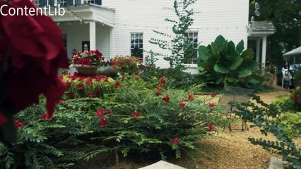 Perfect Christmas Pairing 2023 🎄 | Heartwarming Hallmark Romantic Movie